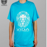 VIDA - Lion head